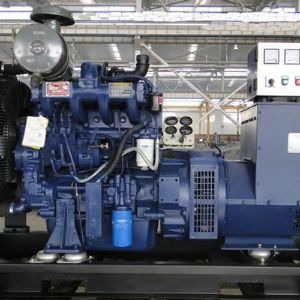 進(jìn)口發(fā)電機(jī)組